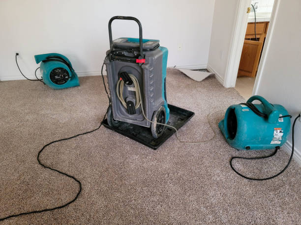 Savanna, IL Water damage restoration Company