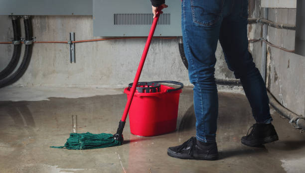 Water damage restoration experts in Savanna, IL