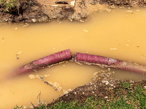 Best Flooded house restoration  in Savanna, IL