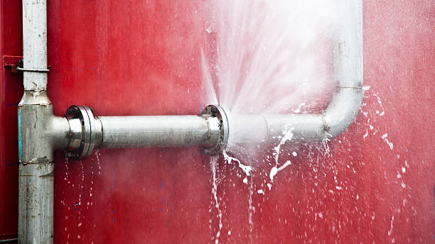 Best Emergency water extraction  in Savanna, IL